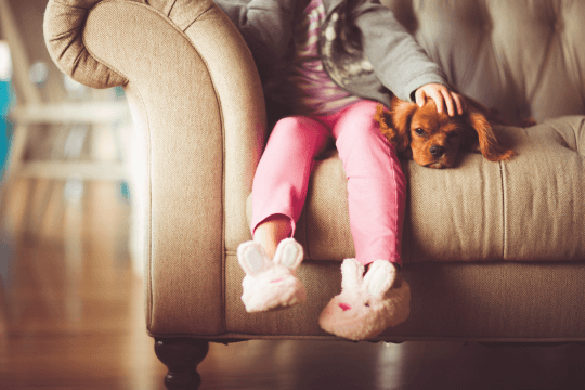 Child and sad dog on a sofa, social services intervention